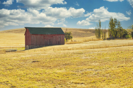 Star Modern Homesteaders Image